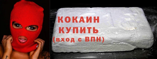 дживик Сосновый Бор