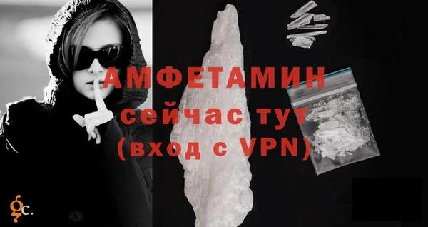 дживик Сосновый Бор
