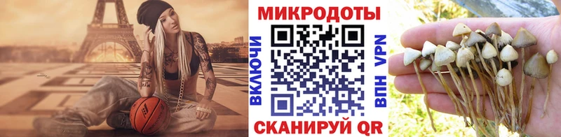 Псилоцибиновые грибы Psilocybine cubensis  Купить  Клинцы 